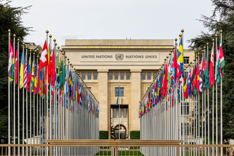 How the UN Liquidity Crisis Unleashed "Grey" Militias in Central Africa