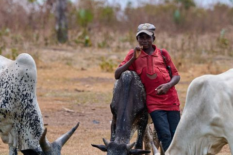Young Africans Are Turning Away From Traditional Farming