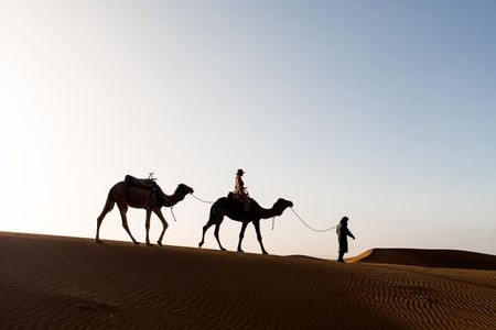 From The Sahel To Central Africa - How Resource Wars Are Crossing  Regional Borders