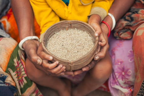 Macroeconomics Of Hunger In Central Africa
