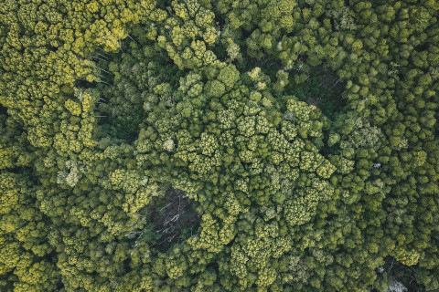 The Jungle Drone War - Hard Facts And Tactical Operations in Eastern DRC