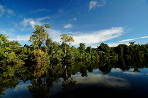 Central Africa's Most Valuable Asset Is Still Its Forests