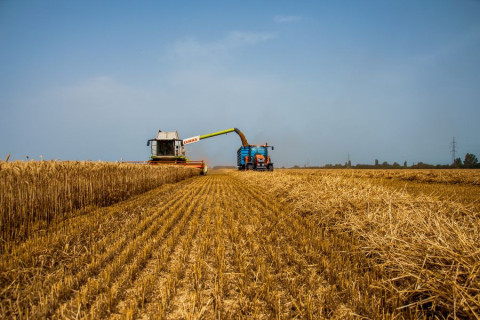 Rwanda Exports Its Agrobusiness Model to Gabon