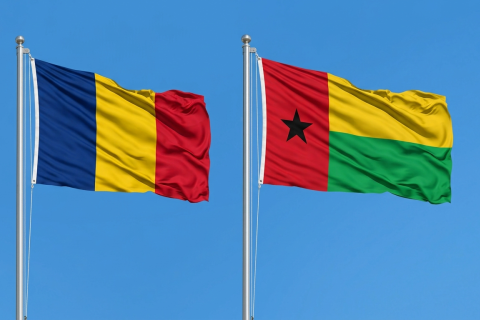 Chad, Guinea-Bissau Agree to Deepen Bilateral Cooperation