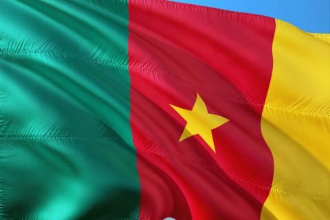 Cameroonian Man Jailed Over Alleged Fake Vice-Presidential Decree