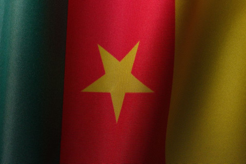 Paul Biya Is Away. How Resilient Is Cameroons' Political System?