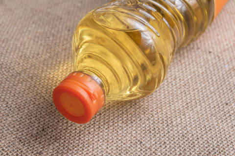 Indonesia and Central Africa Find Common Ground in Palm Oil