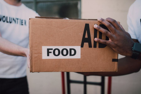 Africa Can Feed the World. Why Is It Still Strugling To Feed Itself?
