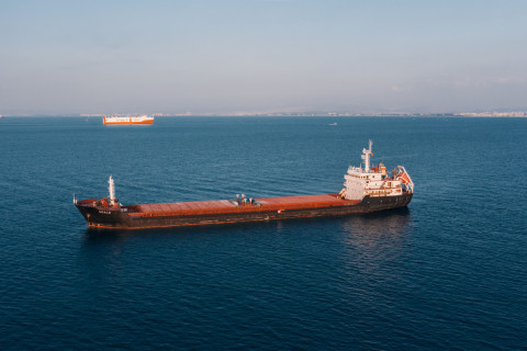 Turkish, Somali Forces Free Hijacked Cameroon-Flagged Ship