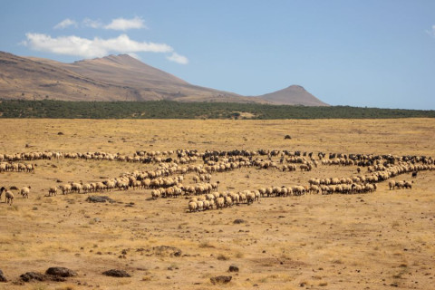Africa's Oldest Economy May Have a Future in a Changing Climate