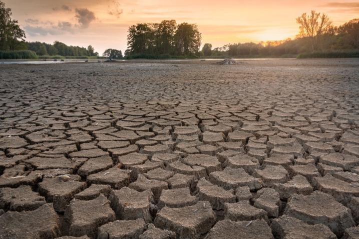 Chad Restricts Grain Exports as Drought Intensifies Food-Security Risks