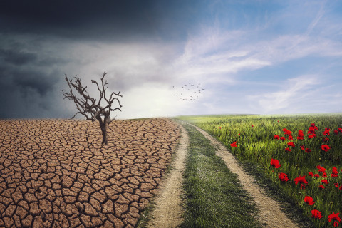 Rwanda seeks $7B to finance climate action through 2035