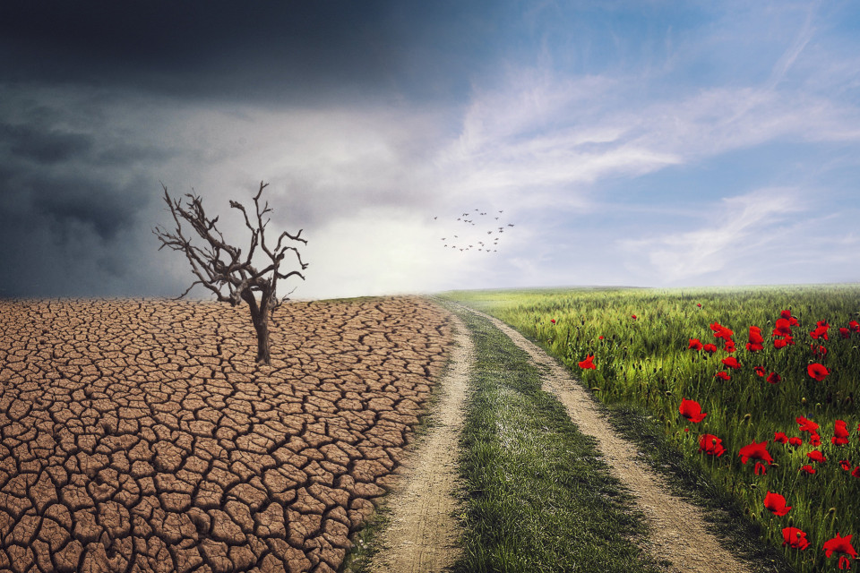 Rwanda seeks $7B to finance climate action through 2035