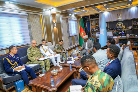 Somalia Broadens Defense Partnerships with Türkiye, Pakistan