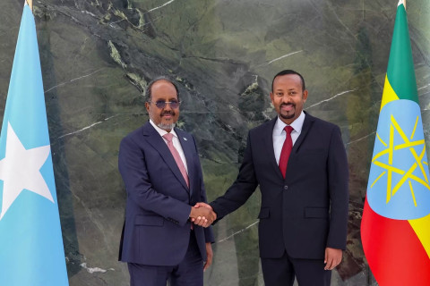 Somalia, Ethiopia Reaffirm Ties as Fighting Flares in North