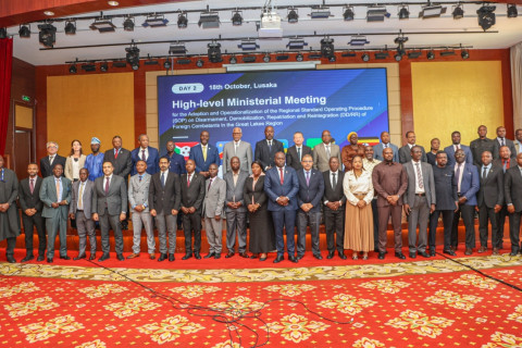 African Great Lakes States Discuss Joint Plan for Foreign Fighters