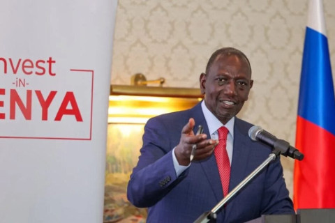 Kenya Calls on Russian Companies to Invest in Factories