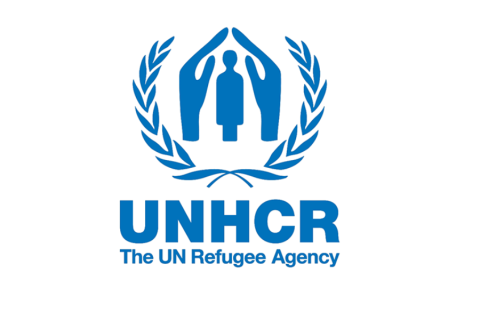 Congo, UNHCR Prepare Voluntary Return Plan for Central African Refugees